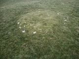 Swarth Fell funerary cairn