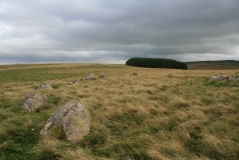 Oddendale