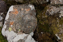 Tongue How Cairn - PID:242843