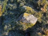 Aughertree Fell stone circle - PID:192758