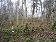 Knipe Scar Iron Age Hillfort