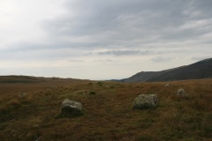 White Moss SW