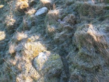 Aughertree Fell stone circle - PID:192761