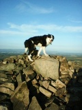 Carrock Fell