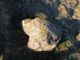 Aughertree Fell stone circle - PID:192757
