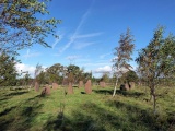 High Head Sculpture Valley Stone Circle - PID:115717