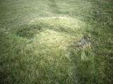 Hodgsons Well burnt mound - PID:274470