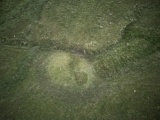 Hodgsons Well burnt mound - PID:274469