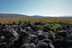 Stockdale Moor