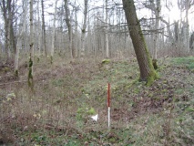 Knipe Scar Iron Age Hillfort
