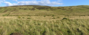 Click for full size image of The Kirk Ring Cairn (PID:16140) The Kirk Ring Cairn