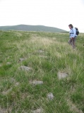 White Moss SW