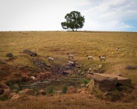 Chapel Well (Staffield) - PID:308892