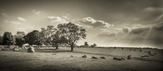 Long Meg And Her Daughters