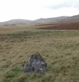 Banishead Stone Circle - PID:204148