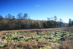 Knipe Scar