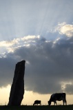 Long Meg