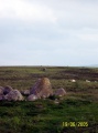 Moor Divock 4 - PID:14799