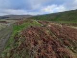Friar's Well - PID:285608