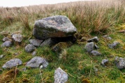 Tongue How Cairn - PID:240736