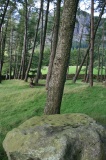 Side Pike Stone 1