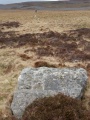Gaythorn Plain - PID:118029