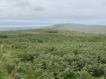 Barnscar Settlement, Birkby Fell - PID:293664