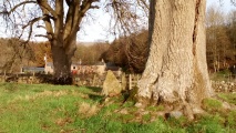 Moor Beck Marker Stone - PID:240793