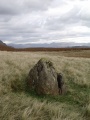 Banishead Stone Circle - PID:204153