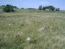 Towtop Kirk