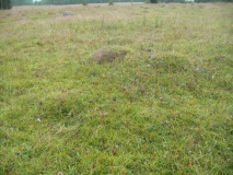 Sizergh Settlement