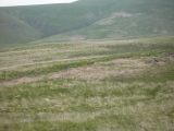 almost rectangular enclosure  - PID:120497