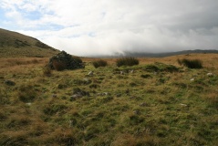 Great Burney