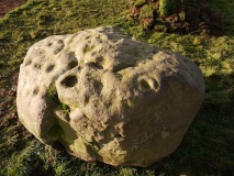 Tortie Stone