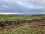 Birkrigg Common Platform Cairn - PID:283524