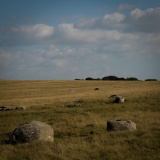 Oddendale stone alignment - PID:310431