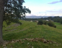 Mayburgh