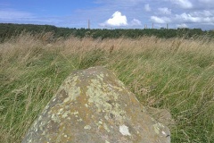 Grey Croft