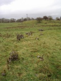 Gallowber Lane Romano-British Settlement/Enclosure