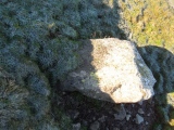 Aughertree Fell stone circle - PID:192756