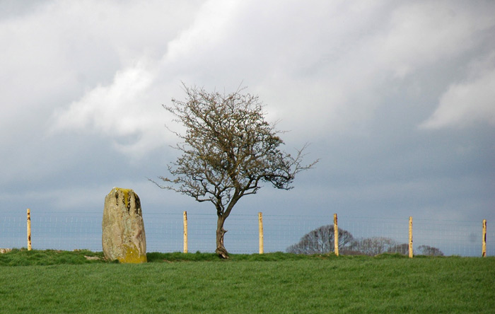 Click for the gallery page to add comments and vote (PID:28682) Hallrigg Standing Stone