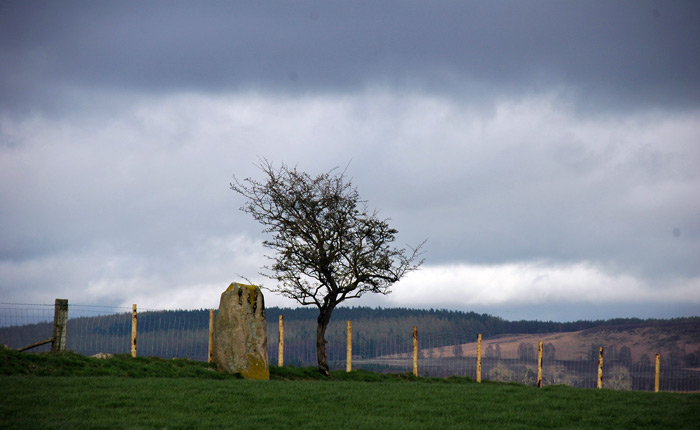 Click for the gallery page to add comments and vote (PID:28685) Hallrigg Standing Stone