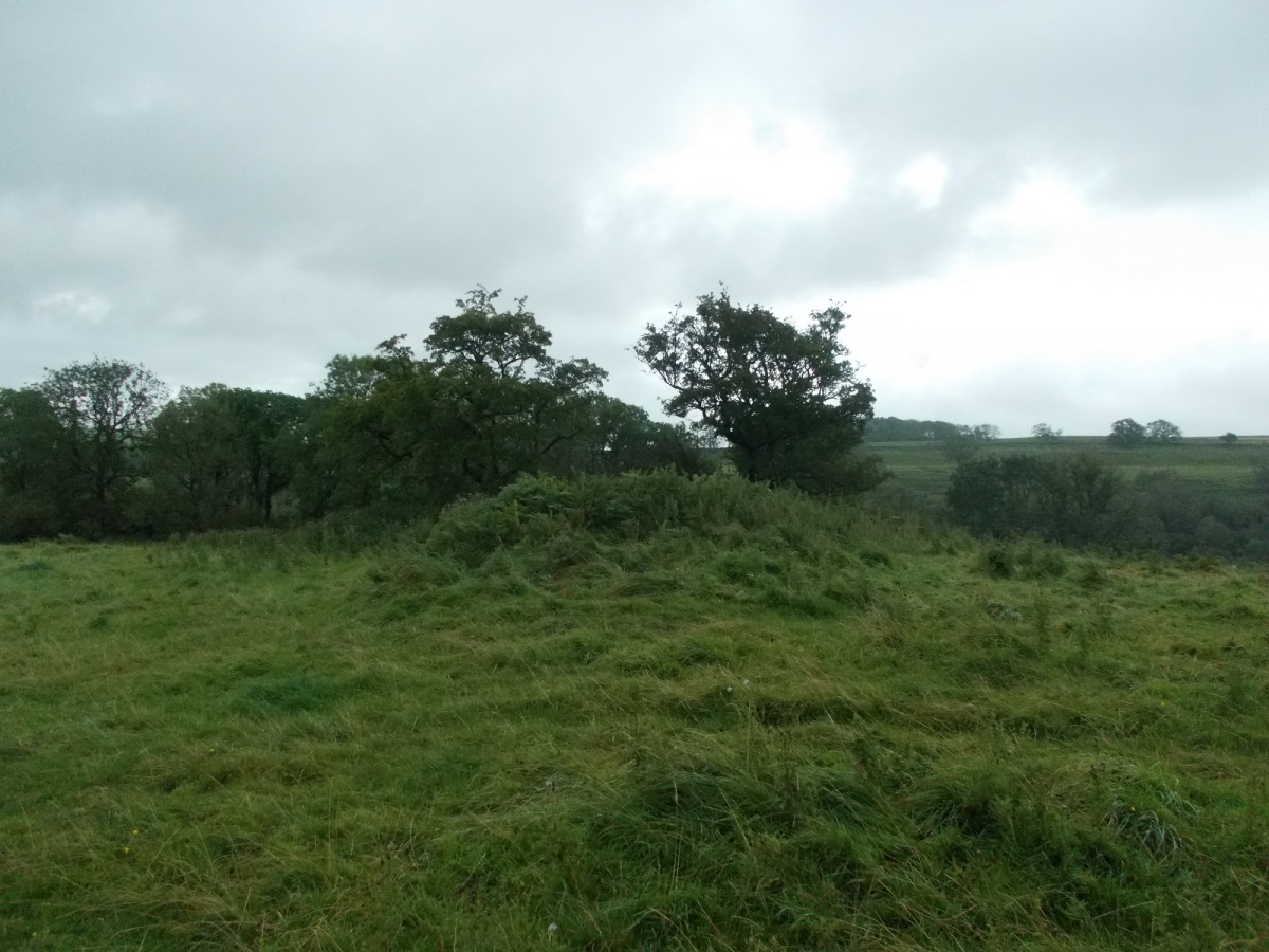 Click for the gallery page to add comments and vote (PID:215609) Cow Green Long Barrow