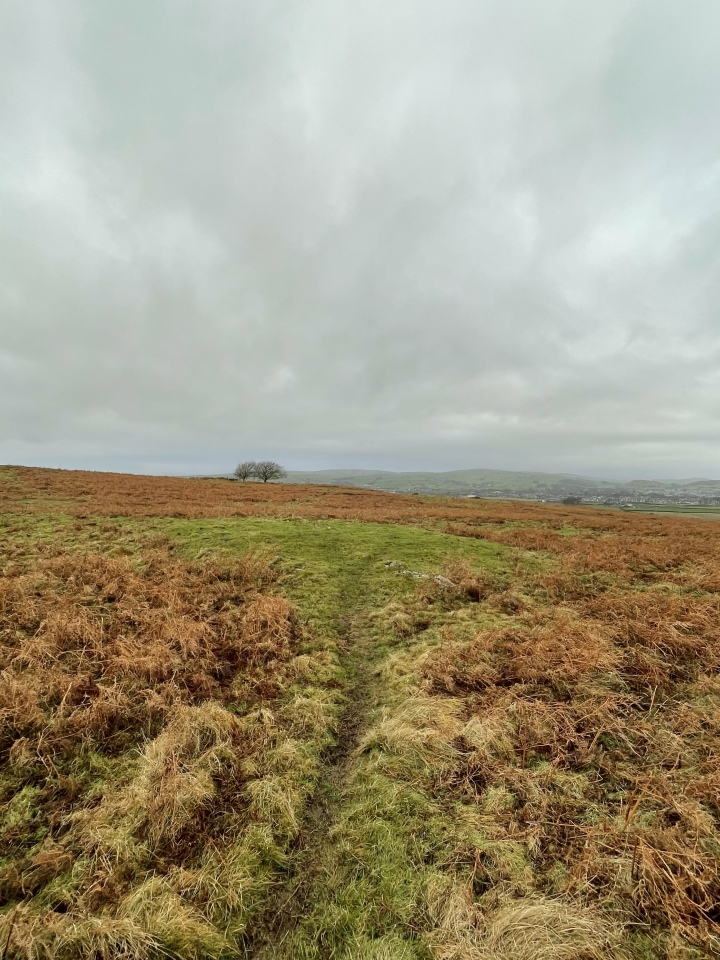 Click for the gallery page to add comments and vote (PID:283320) Birkrigg Common Round Cairn 2