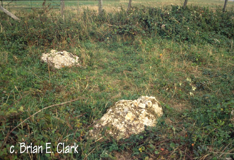 Click for full size image of Hampton Down (PID:5390) Hampton Down