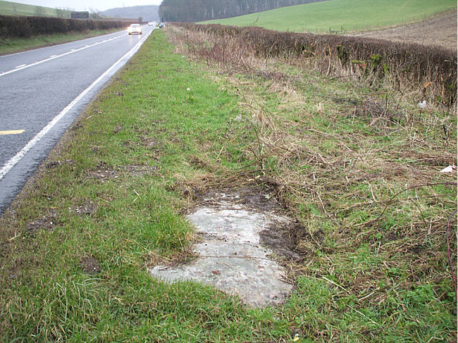 Broad Stone (Dorset)