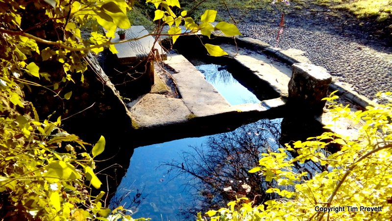 St Augustine's Well (Cerne Abbas)