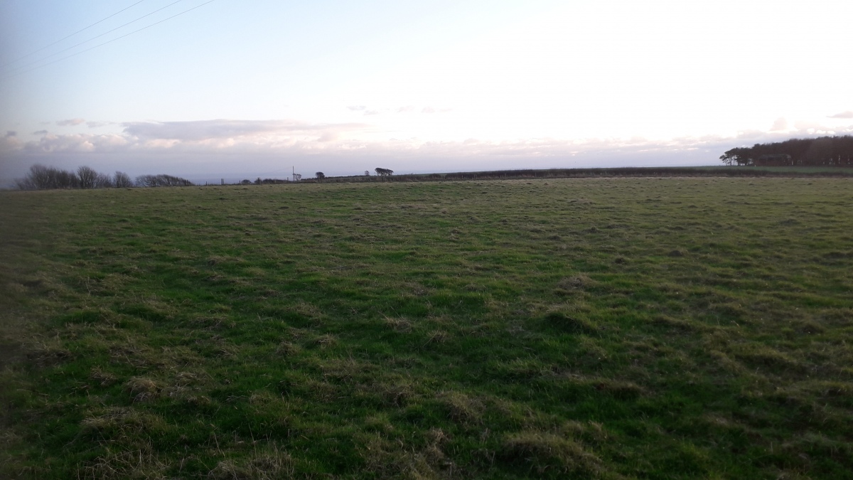 White Hill Tumulus