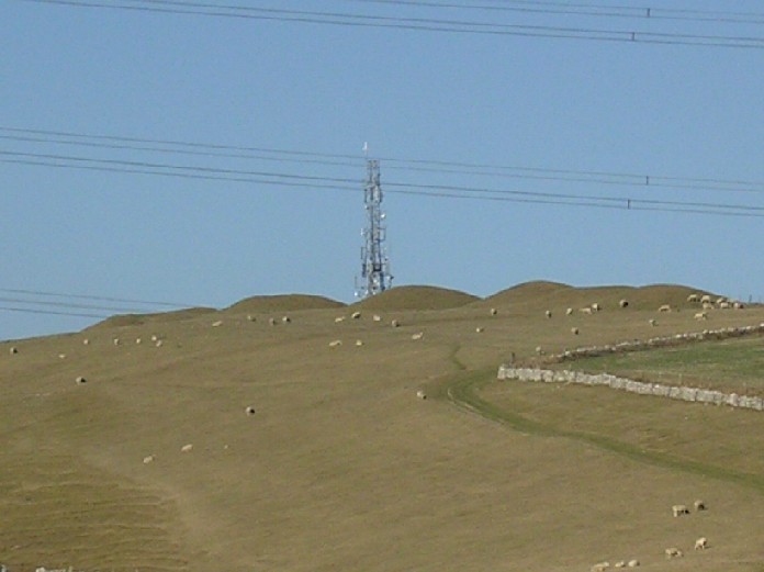 Bincombe Barrows