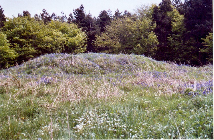 Click for the gallery page to add comments and vote (PID:15944) Black Down Barrows (Dorset)